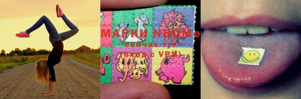 дмт Новокубанск